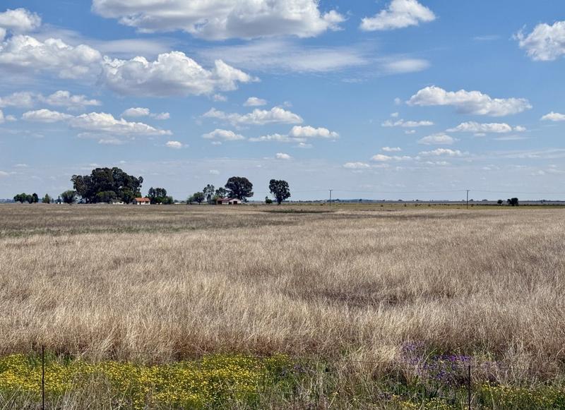 0 Bedroom Property for Sale in Koppies Free State